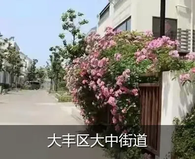 大丰区大中街道