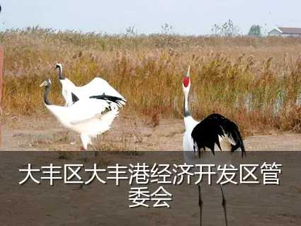 大丰区大丰港经济开发区管委会