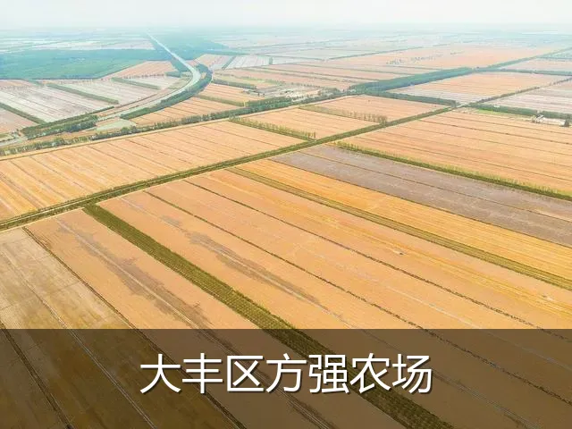 大丰区方强农场