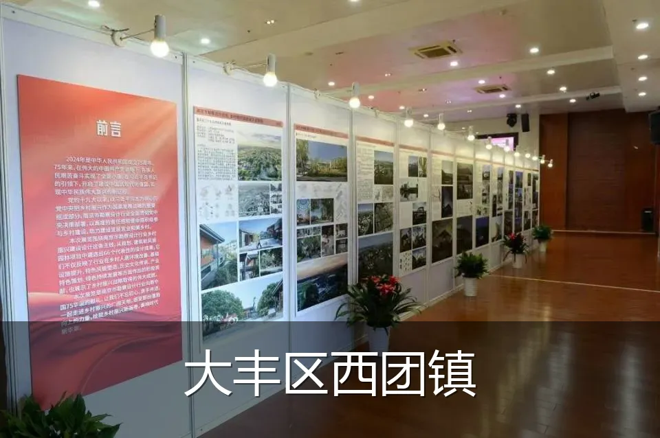 大丰区西团镇