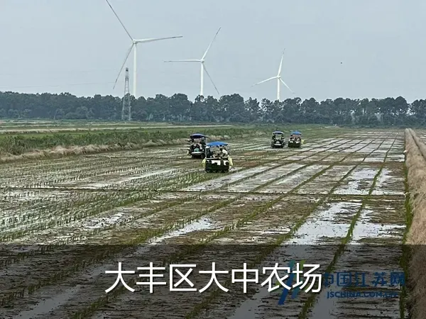大丰区大中农场